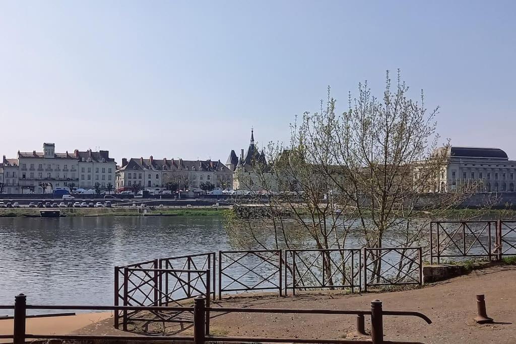Les Marronniers Appartement Centre Saumur Bord De Loire エクステリア 写真