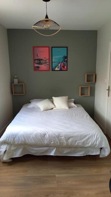Les Marronniers Appartement Centre Saumur Bord De Loire エクステリア 写真